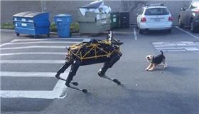 PCB廠之當(dāng)機(jī)器狗遇上小狗