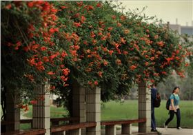 電路板廠之校長致辭:去大學談戀愛吧