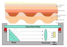 指紋識(shí)別模組線路板為您科普丨指紋識(shí)別工作原理