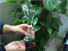 深聯(lián)PCB廠榮獲2016年度“榮譽(yù)伙伴獎(jiǎng)”