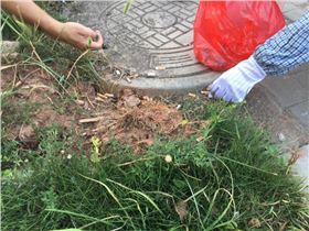 深聯(lián)PCB廠號召大家不要隨手丟垃圾，共同盡力守護我們的家園