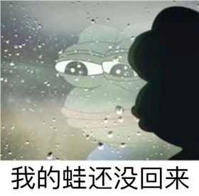 &ldquo;蛙兒子&rdquo;，整個電路板朋友圈都在等你回家呢