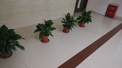 電路板廠家綠化