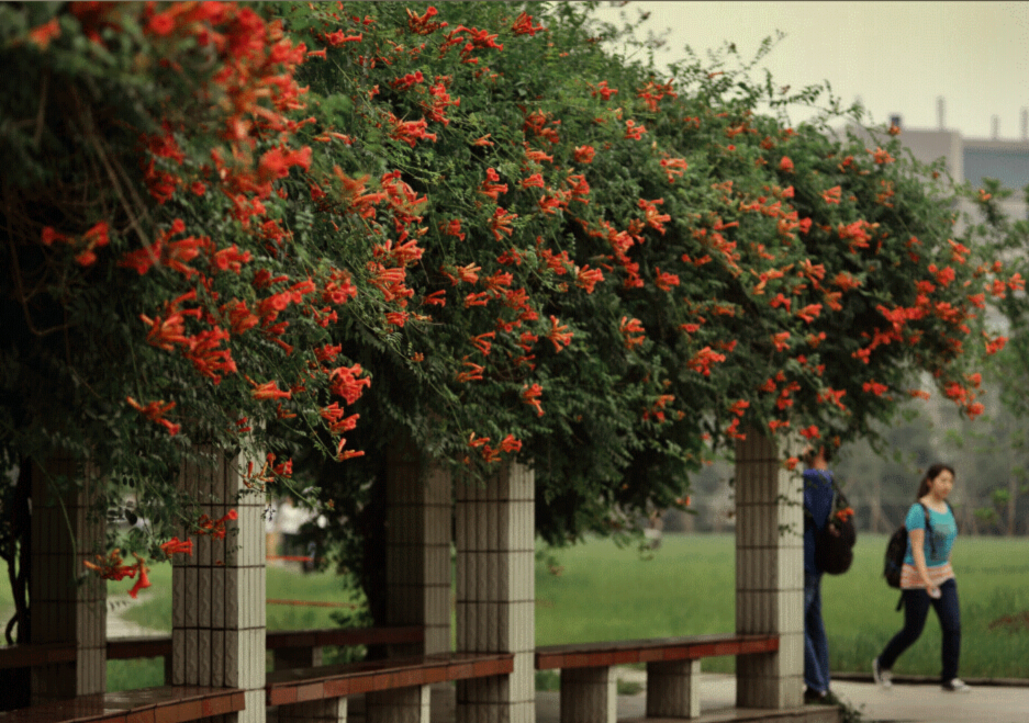 電路板廠之校長致辭:去大學(xué)談戀愛吧 電路板廠之校長致辭:去大學(xué)談戀愛吧