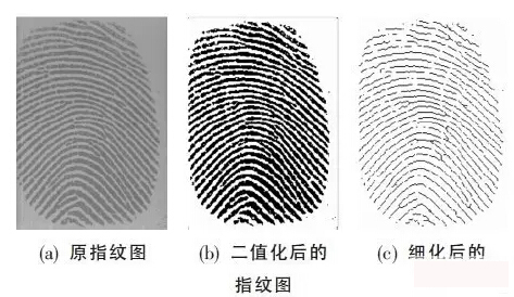 指紋識別模組線路板為您科普丨指紋識別工作原理
