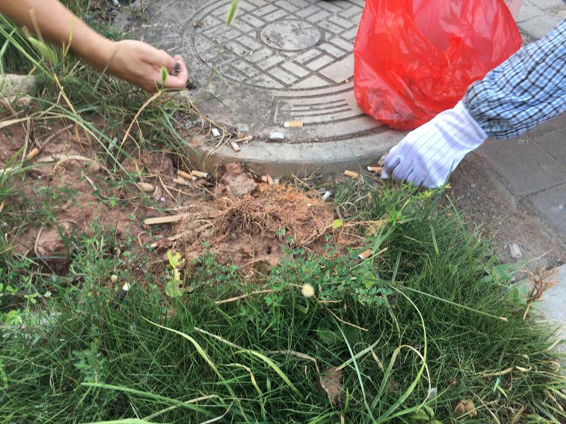 深聯(lián)PCB廠號(hào)召大家不要隨手丟垃圾，共同盡力守護(hù)我們的家園