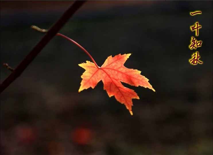 今日立秋‖深聯(lián)線路板告訴你秋天的那點(diǎn)事