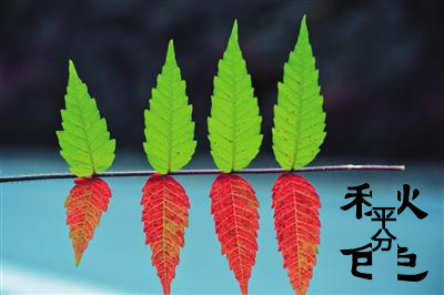 今日立秋‖深聯(lián)線路板告訴你秋天的那點(diǎn)事