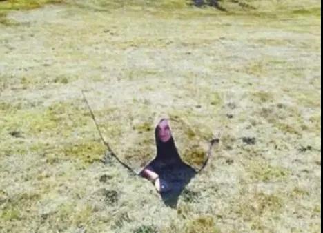 PCB小編看到哈利&middot;波特的魔法好像成為現(xiàn)實了？