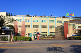 深聯(lián)前大門